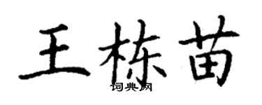 丁谦王栋苗楷书个性签名怎么写