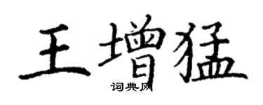 丁谦王增猛楷书个性签名怎么写