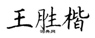 丁谦王胜楷楷书个性签名怎么写