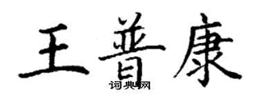 丁谦王普康楷书个性签名怎么写