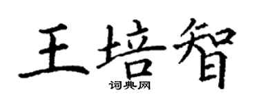 丁谦王培智楷书个性签名怎么写