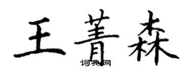 丁谦王菁森楷书个性签名怎么写