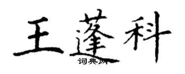 丁谦王蓬科楷书个性签名怎么写
