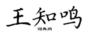 丁谦王知鸣楷书个性签名怎么写