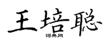 丁谦王培聪楷书个性签名怎么写