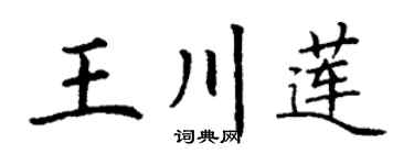 丁谦王川莲楷书个性签名怎么写