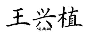丁谦王兴植楷书个性签名怎么写
