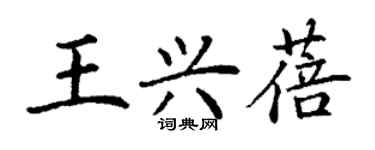 丁谦王兴蓓楷书个性签名怎么写