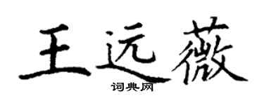 丁谦王远薇楷书个性签名怎么写