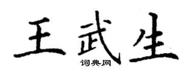 丁谦王武生楷书个性签名怎么写