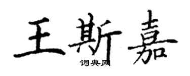 丁谦王斯嘉楷书个性签名怎么写