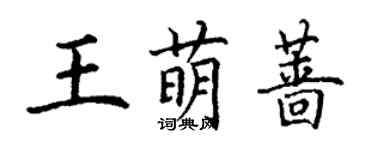 丁谦王萌蔷楷书个性签名怎么写