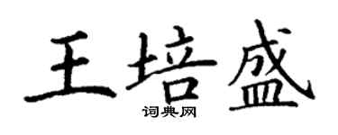 丁谦王培盛楷书个性签名怎么写