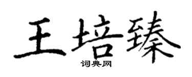 丁谦王培臻楷书个性签名怎么写