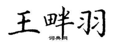 丁谦王畔羽楷书个性签名怎么写
