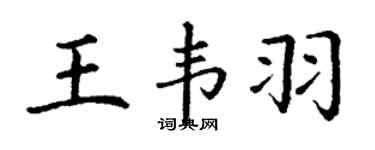 丁谦王韦羽楷书个性签名怎么写