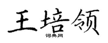 丁谦王培领楷书个性签名怎么写