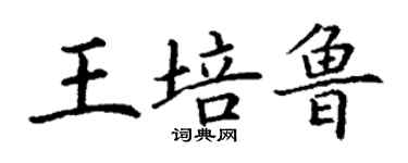 丁谦王培鲁楷书个性签名怎么写