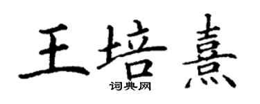 丁谦王培熹楷书个性签名怎么写
