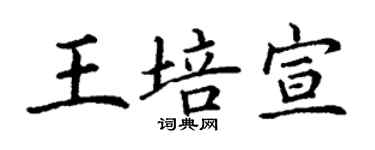 丁谦王培宣楷书个性签名怎么写
