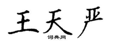 丁谦王天严楷书个性签名怎么写
