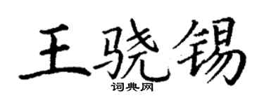 丁谦王骁锡楷书个性签名怎么写