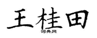 丁谦王桂田楷书个性签名怎么写