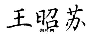 丁谦王昭苏楷书个性签名怎么写