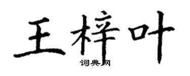 丁谦王梓叶楷书个性签名怎么写