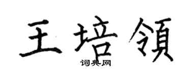 何伯昌王培领楷书个性签名怎么写