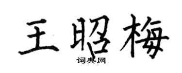 何伯昌王昭梅楷书个性签名怎么写
