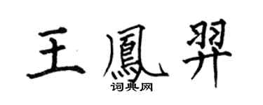 何伯昌王凤羿楷书个性签名怎么写