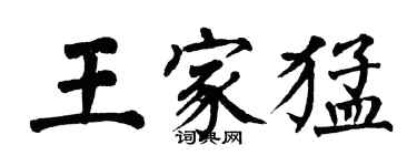 翁闿运王家猛楷书个性签名怎么写