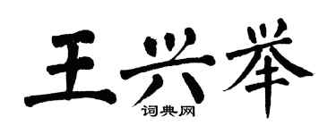 翁闿运王兴举楷书个性签名怎么写
