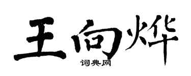 翁闿运王向烨楷书个性签名怎么写