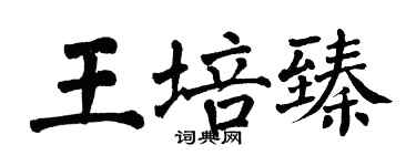翁闿运王培臻楷书个性签名怎么写