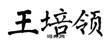 翁闿运王培领楷书个性签名怎么写