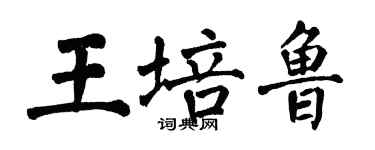 翁闿运王培鲁楷书个性签名怎么写