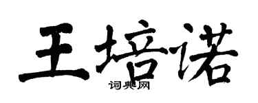 翁闿运王培诺楷书个性签名怎么写