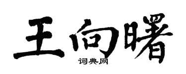 翁闿运王向曙楷书个性签名怎么写