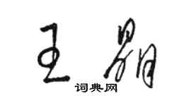 骆恒光王晶草书个性签名怎么写