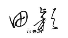 骆恒光田颖草书个性签名怎么写