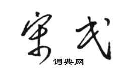 骆恒光宋民草书个性签名怎么写