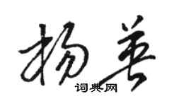 骆恒光杨英草书个性签名怎么写