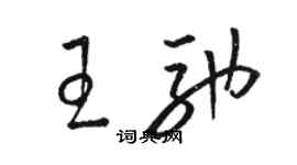 骆恒光王驰草书个性签名怎么写