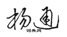 骆恒光杨通草书个性签名怎么写