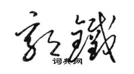 骆恒光郭铁草书个性签名怎么写