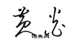 骆恒光黄炎草书个性签名怎么写