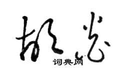 骆恒光胡炎草书个性签名怎么写