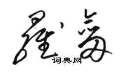骆恒光罗剑草书个性签名怎么写